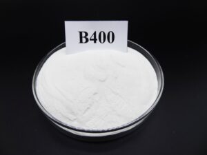 DSC02464_副本-300x225